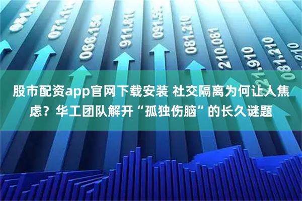 股市配资app官网下载安装 社交隔离为何让人焦虑？华工团队解开“孤独伤脑”的长久谜题